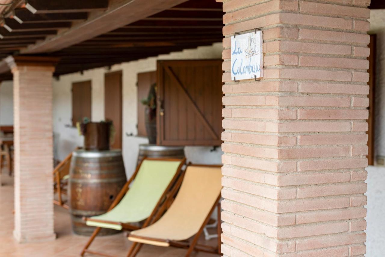 קסטליונה דלה פסקאיה Agriturismo La Rombaia מראה חיצוני תמונה